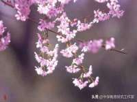 温州市鹿城区天柔信息技术服务部