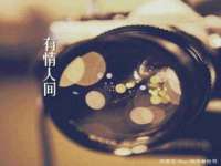 温州市鹿城区天柔信息技术服务部