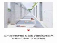 温州市鹿城区天柔信息技术服务部