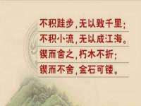 温州市鹿城区天柔信息技术服务部