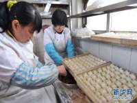 温州市鹿城区天柔信息技术服务部