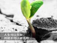 温州市鹿城区天柔信息技术服务部