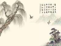 温州市鹿城区天柔信息技术服务部