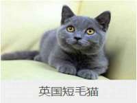 温州市鹿城区天柔信息技术服务部