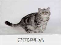 温州市鹿城区天柔信息技术服务部