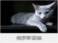 温州市鹿城区天柔信息技术服务部
