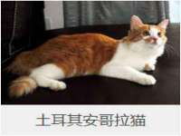 温州市鹿城区天柔信息技术服务部