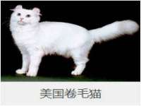 温州市鹿城区天柔信息技术服务部