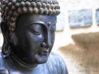 温州市鹿城区天柔信息技术服务部