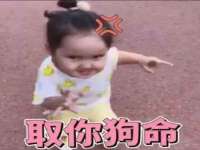 温州市鹿城区天柔信息技术服务部