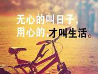 温州市鹿城区天柔信息技术服务部