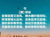 温州市鹿城区天柔信息技术服务部
