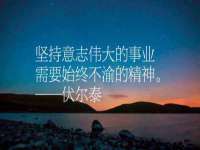 温州市鹿城区天柔信息技术服务部