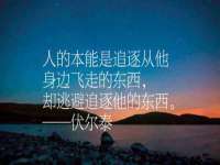温州市鹿城区天柔信息技术服务部