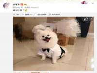 温州市鹿城区天柔信息技术服务部