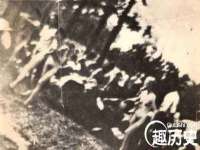温州市鹿城区天柔信息技术服务部