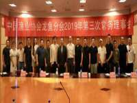温州市鹿城区天柔信息技术服务部