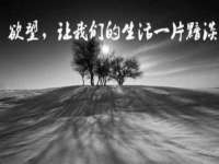 温州市鹿城区天柔信息技术服务部