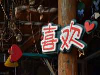 温州市鹿城区天柔信息技术服务部