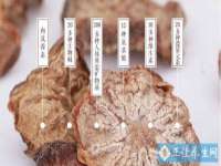 温州市鹿城区天柔信息技术服务部