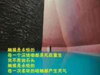 温州市鹿城区天柔信息技术服务部