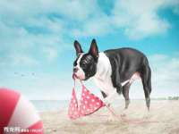 温州市鹿城区天柔信息技术服务部